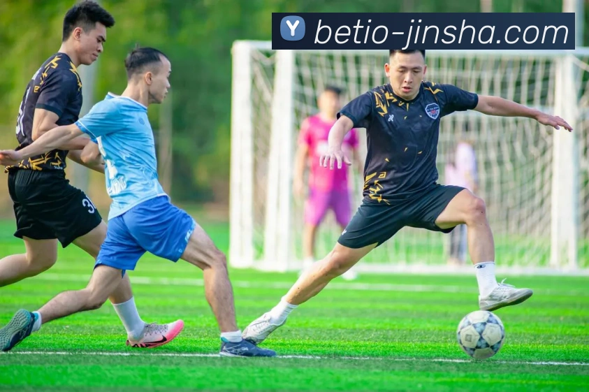 金沙娱乐平台生态图